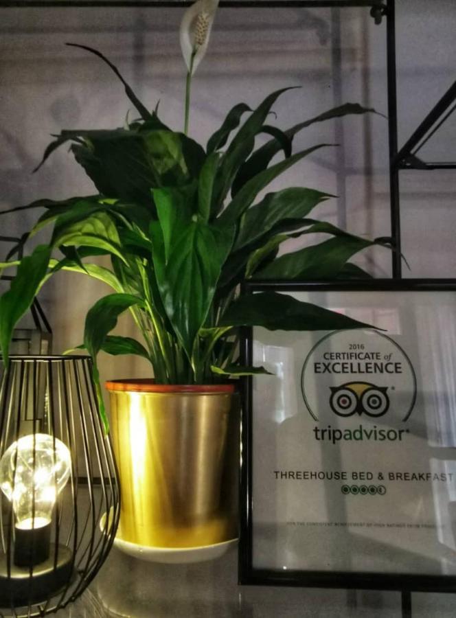 Treehouse Hostel 古晋 外观 照片